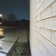 Couple Sets Up Camera To Catch Porch Pirate And Discovers Its The Neighbor’s Dog