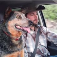 Dog Sings Sweet Duet With Cowboy After Her Favorite Song Comes On