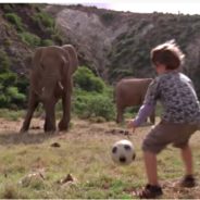 Elephant And Little Boy Warm Hearts With Kickball Game