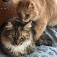 Lucky & Kittery: We’re Not Counting Days, We’re Making Days Count