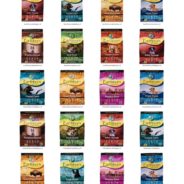 Multiple Dog And Cat Food Brands Recalled Due To Salmonella Contamination