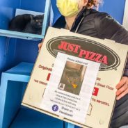 NY Pizzeria Features Adoptable Cats On Pizza Boxes To Help Them Find Forever Homes