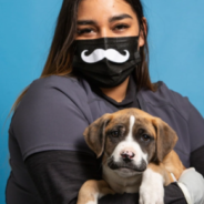 Rescue Puppy With A Mustache Finds A Forever Home