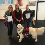 Service Dog Trained To Wear PPE So He Can Assist His Neuroscientist Owner In The Lab