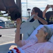 UK’s First-Ever Female Mounted Officer Granted Dying Wish To See A Horse One Last Time