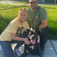 Dog Finds His Forever Home After 667 Days At The Shelter