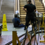 Dog Rescued After Paw Gets Stuck In Escalator