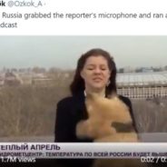 Dog Steals Reporter’s Microphone While She’s Doing A Live Broadcast