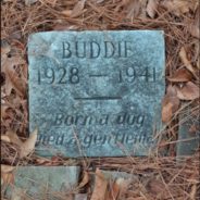 Man Brought To Tears When He Stumbles Upon 80-Year-Old Dog Grave In Louisiana Park