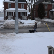 Man Builds A Machine That Alerts Him Whenever A Dog Walks By The House