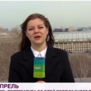 Mischievous Dog Steals Microphone From Russian Reporter During Live Broadcast