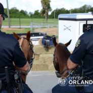 Orlando Police Department Patrol Horse Receives Tasty Retirement Send Off