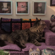 Owner Makes Her Cats Their Own Tiny Living Room Complete With A Cat-Sized Couch