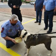 Pit Bull Receives Medal From El Paso Fire Department For Saving Owner’s Life