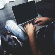 Woman Creates A Chair That Allows Needy Pets To Sit By You While You Work