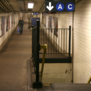 Emotional Support Dog Rescued From Busy New York Train Tracks