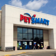 Employee Pleads With Public Not To Dump Animals Outside Pet Stores