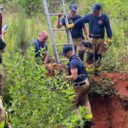 Frightened Dog Reunited With Owner After Being Rescued From Massive Hole