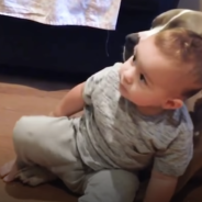 Lonely Dog Gets A Kitten After Her Brother Goes Off The Preschool