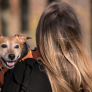 New App Scans Dogs Noses And Reunites Them With Their Owners