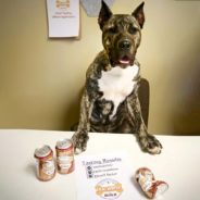 Rescued Dog Overcomes Rough Past To Become Brand’s Top Dog Brew Taster