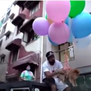 YouTuber Arrested For ‘Flying’ Dog With Helium Balloons