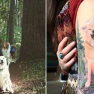 15 Amazing Dog Memorial Tattoos