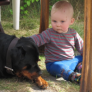 Baby Starts Singing And Her Dog Joins In For A Duet