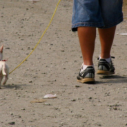 Deaf Elderly Grandmother Still Waits For Her Missing Dog To Return A Year Later