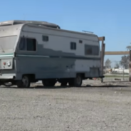 Dog Abandoned In An Old Trailer Learns To Trust Again