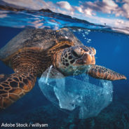 Take the Plastic Bag Pledge And Take A Stand For Our Planet