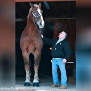 Big Jake, Once Known As The World’s Tallest Horse, Dies In Wisconsin