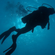 Diver Frees Stingray Trapped In Illegal Fishing Line And Gives It A Second Chance At Life