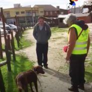 Lost for Years, This Sad Dog Instantly Perks Up When She Realizes She’s Looking at Her Dad