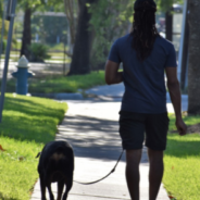 Tel Aviv To Test Dog Poop DNA To Catch Owners Who Don’t Clean Up