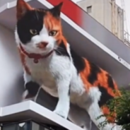 There’s A Giant 3D Cat On The Outside Of A Building In Japan