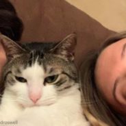 Woman Tries To Win Her Cat’s Affection By Wearing A Fake Beard