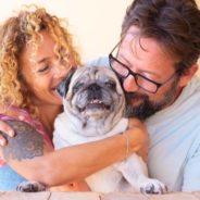 Adopting an Older Dog: What You Need to Know