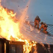 Brave Firefighters Rescue 7 Dogs From Florida House Fire