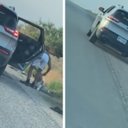 Husky Abandoned On The Side Of The Road Finds A New Home