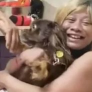 Missing Dog Reunited With Family After Owner Sees Him On TV