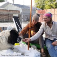 Dying Dog Gets To Roll In Snow One Last Time Thanks To Utah Ice Center