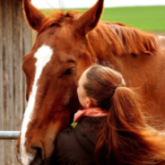 Horse Therapy Program Helps People Improve Mental Health During The Pandemic