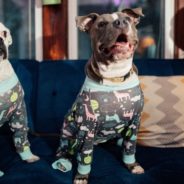 Illinois Woman Designs Playful Pajamas For Pit Bulls To Show They Are Friendly, Loving Dogs