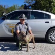 Ohio Trooper Saves A Stray Dog Then Goes Back To Adopt Her