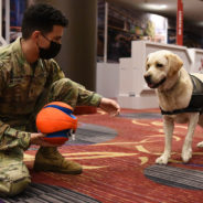 VA Hospital Prohibited Service Dogs, Leading To Veteran’s Suicide