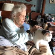 101-Year-Old Woman Adopts Shelter’s Oldest Cat To Heal Her Broken Heart