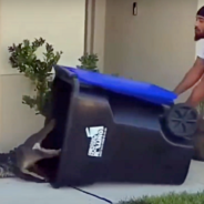 Alligator Shows Up On Doorstep, Brave Dad Takes Matters Into His Own Hands