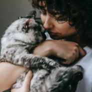 Did You Know That Cats Could Be As Affectionate As Dogs?