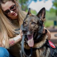 Retired Military K-9 Gets Adopted By Veteran After Heartwarming Reunion